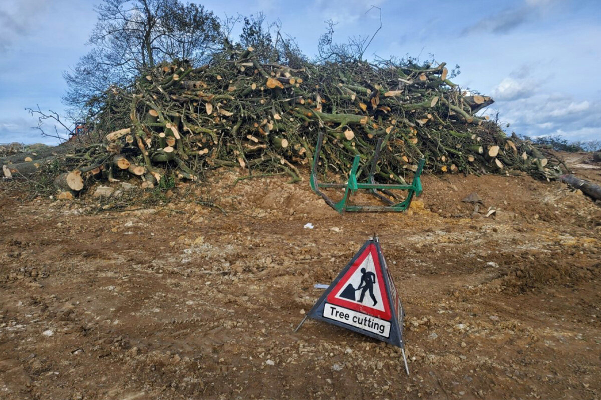 tree-surgery-services.jpg