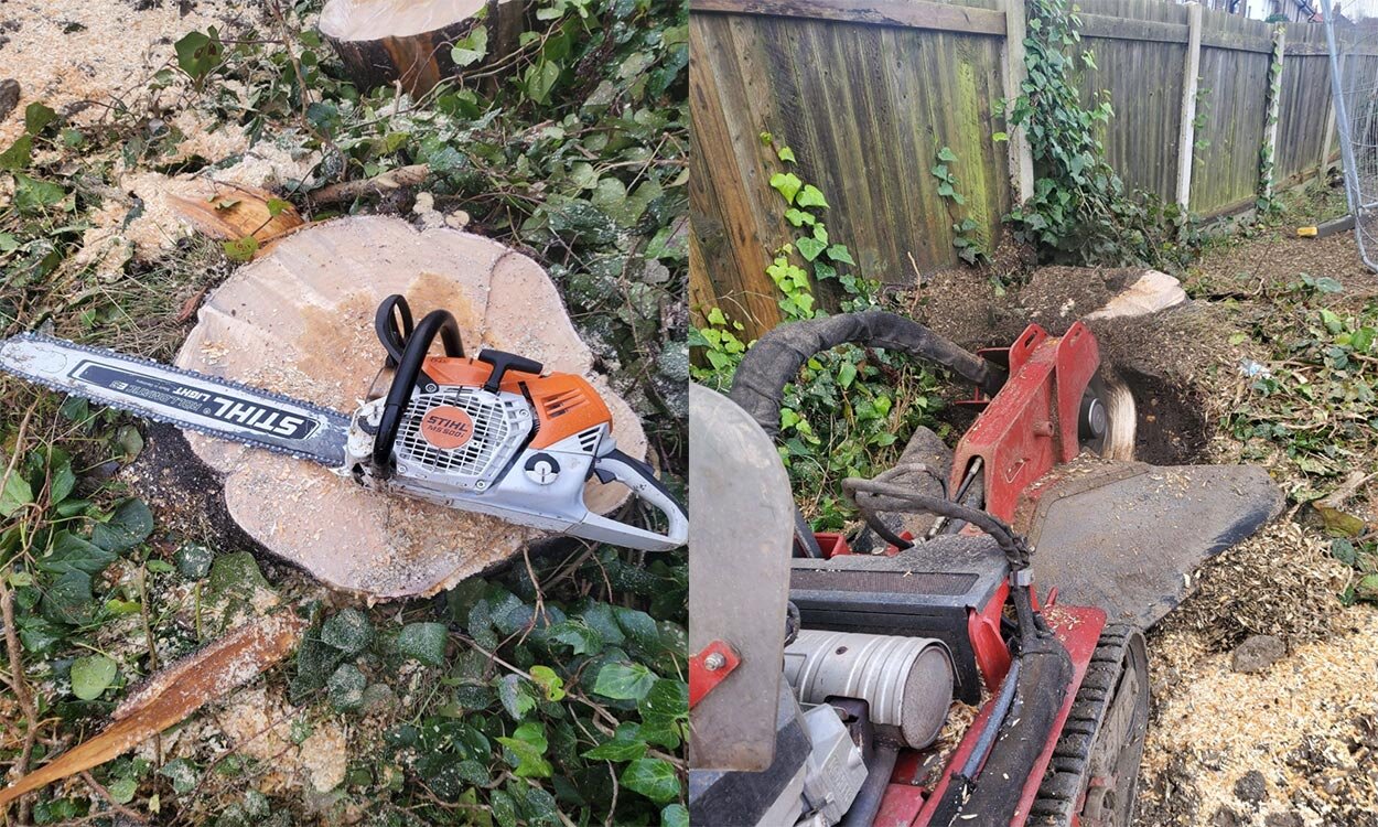 tree-surgery-experience.jpg