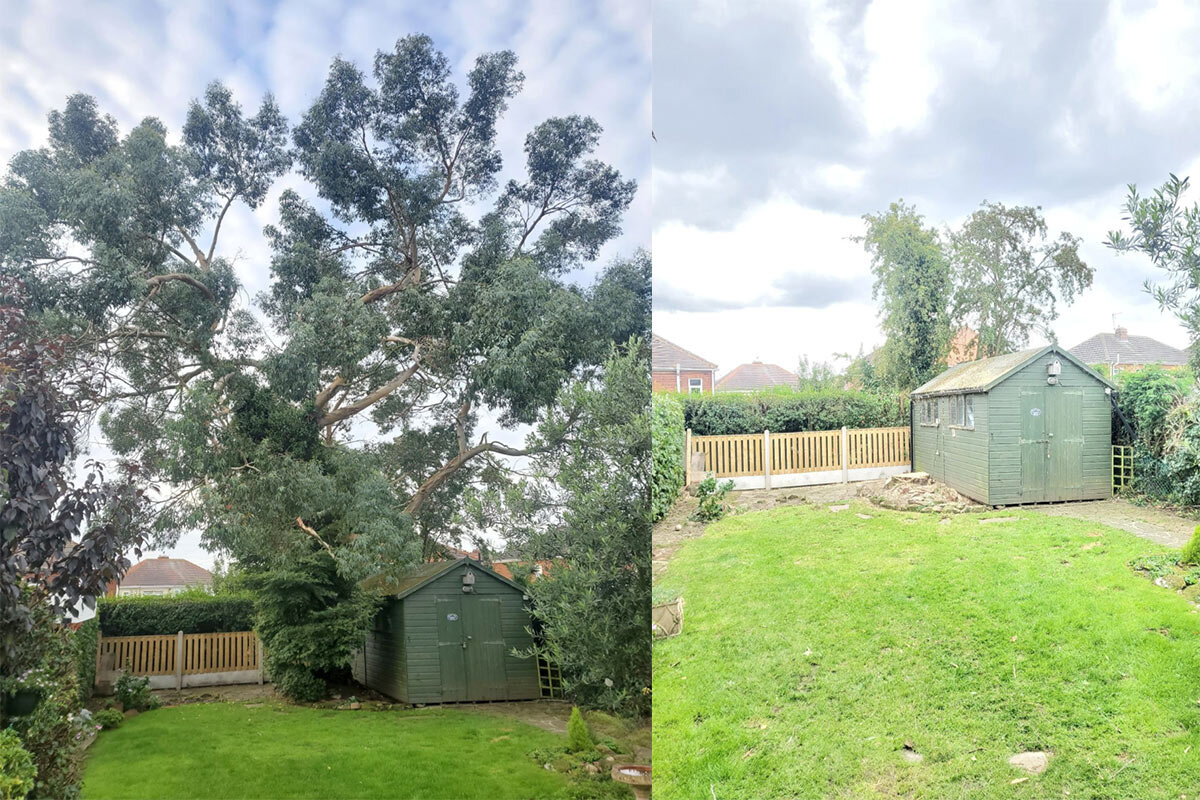 tree-surgeons-sheffield.jpg