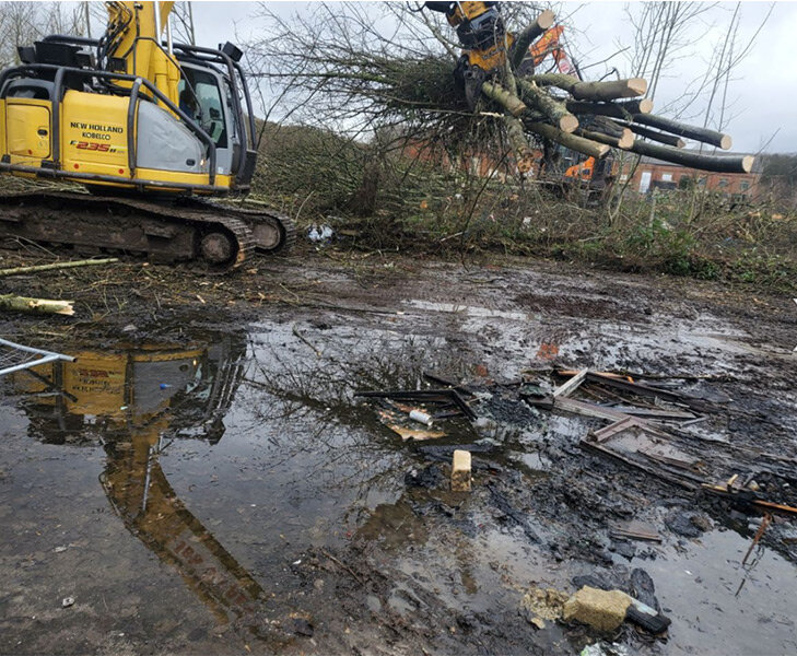 tree-removal.jpg
