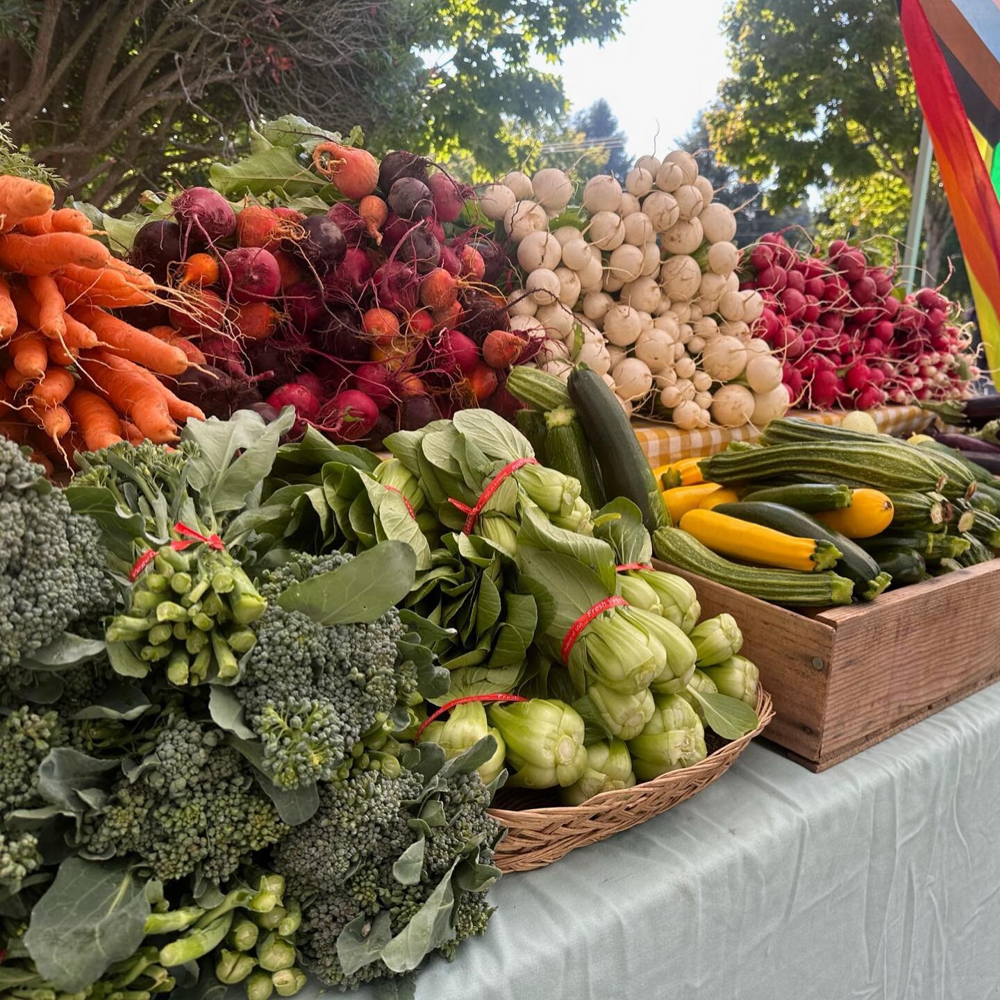 We love every season at the market, but this time of year - during peak produce - is just so gorgeous 🤩 here are some of the scrumptious farm goods we captured last week.

Our market still has 3 months to go: our last day of the season isn&rsquo;t u