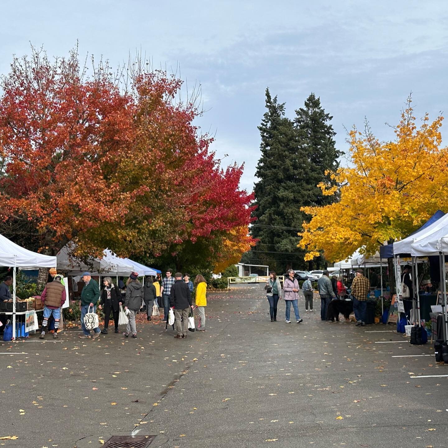 We&rsquo;ve started to countdown: only 6 markets left until our off-season!! Let&rsquo;s make the most of these remaining weeks 😌

Cranberries, winter squash, and apples are in abundance. Now&rsquo;s the perfect time to get your wine, cider, and hos