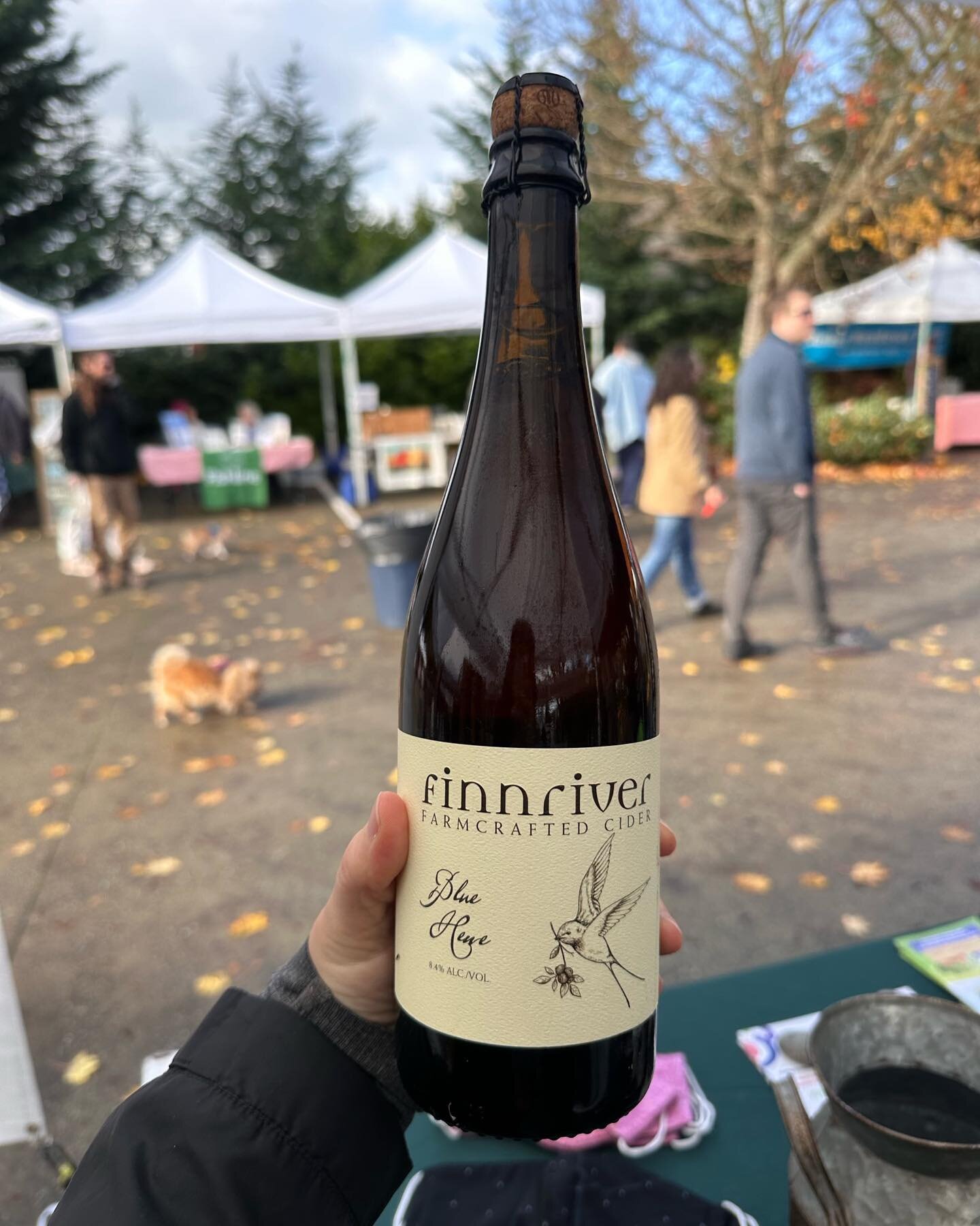 Consider us your one-stop-shop for holiday gatherings! Wine, cider, root veggies, squash, greens, meat, gifts, and so much more.

FIVE markets left this season!

See you Saturday, 10am-2pm