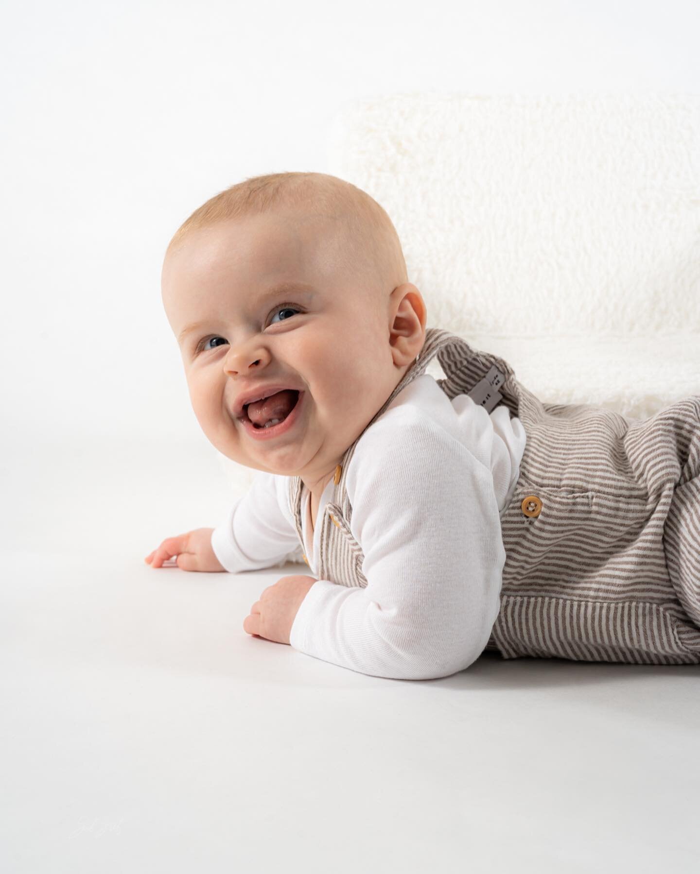 L&iacute;till gormur &iacute; myndat&ouml;ku🦋