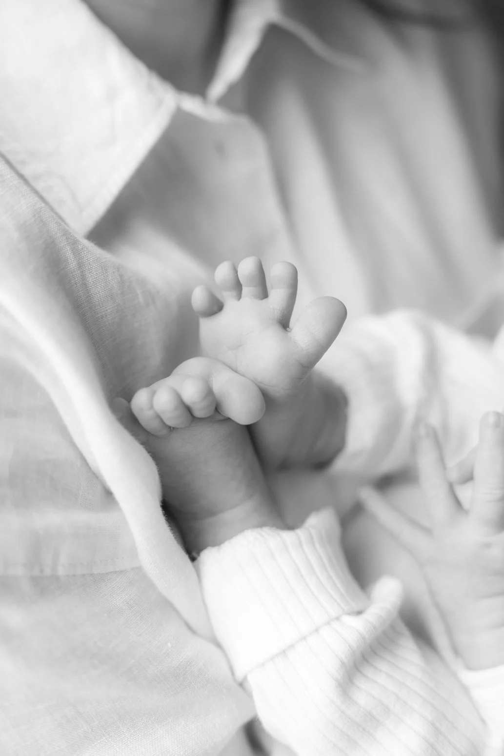 Domino_newborn-5166.jpg