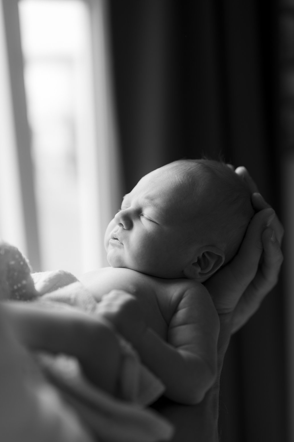 Domino_newborn-5012-2.jpg