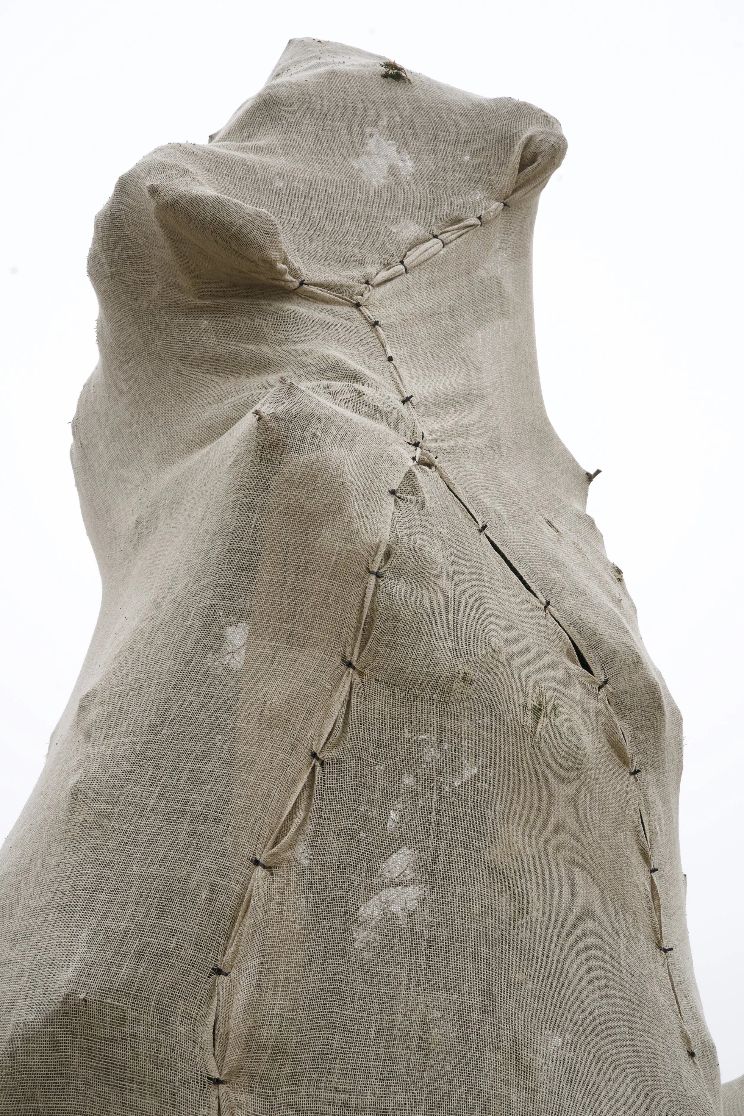 O_Shea_Strong_Barbara_entry_642056_piece_2359532.jpg