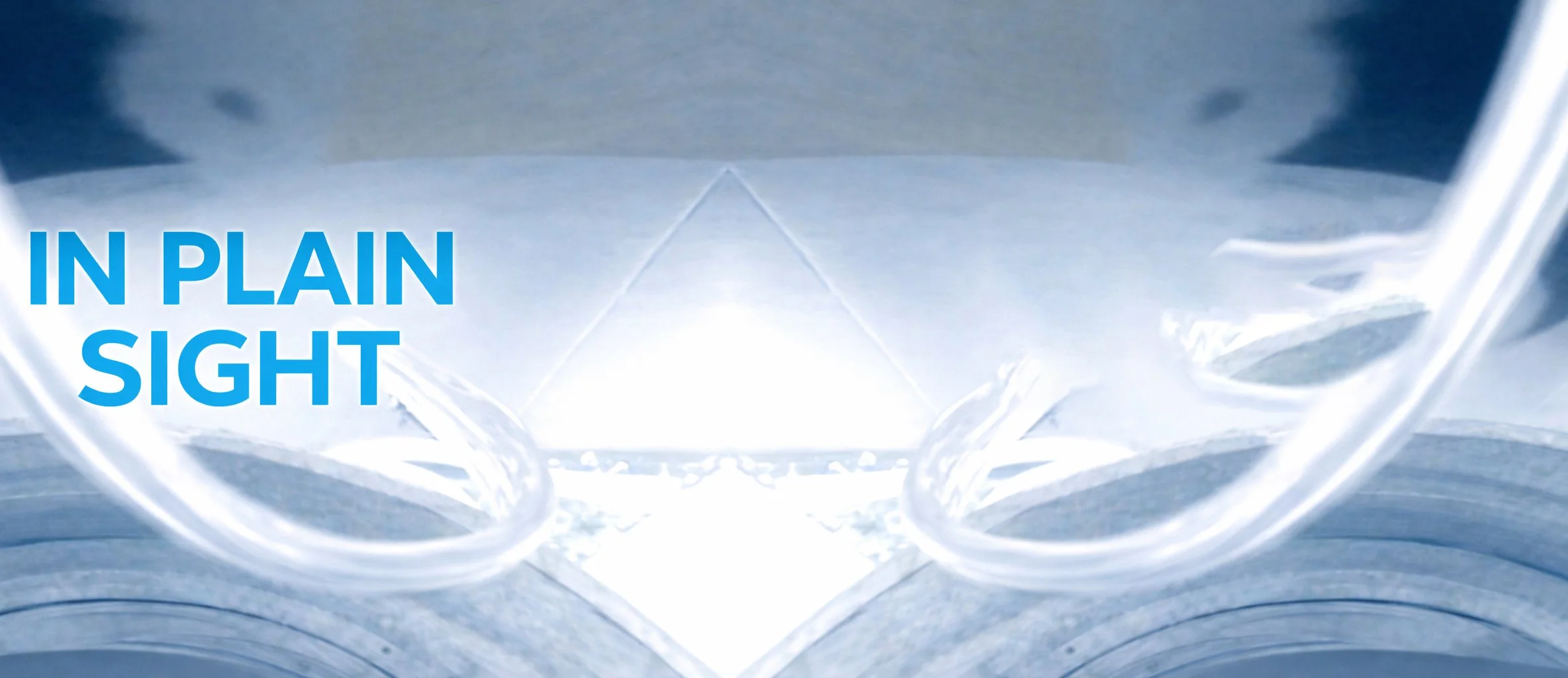   First Annual Online Juried Competition  'In Plain Site'       LEARN MORE   