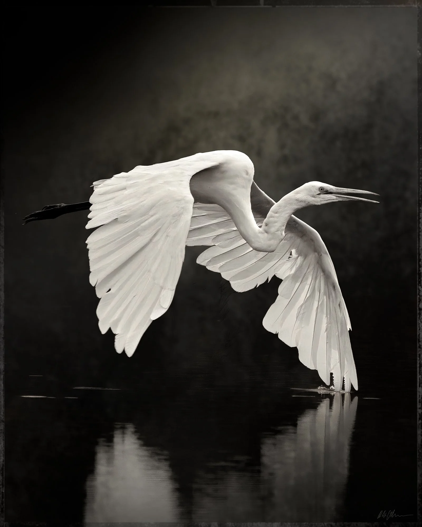 Atkinson_Robert_David_entry_641201_piece_2356859.jpg