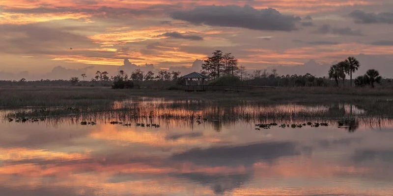 Pine glades hike and paddle.jpg