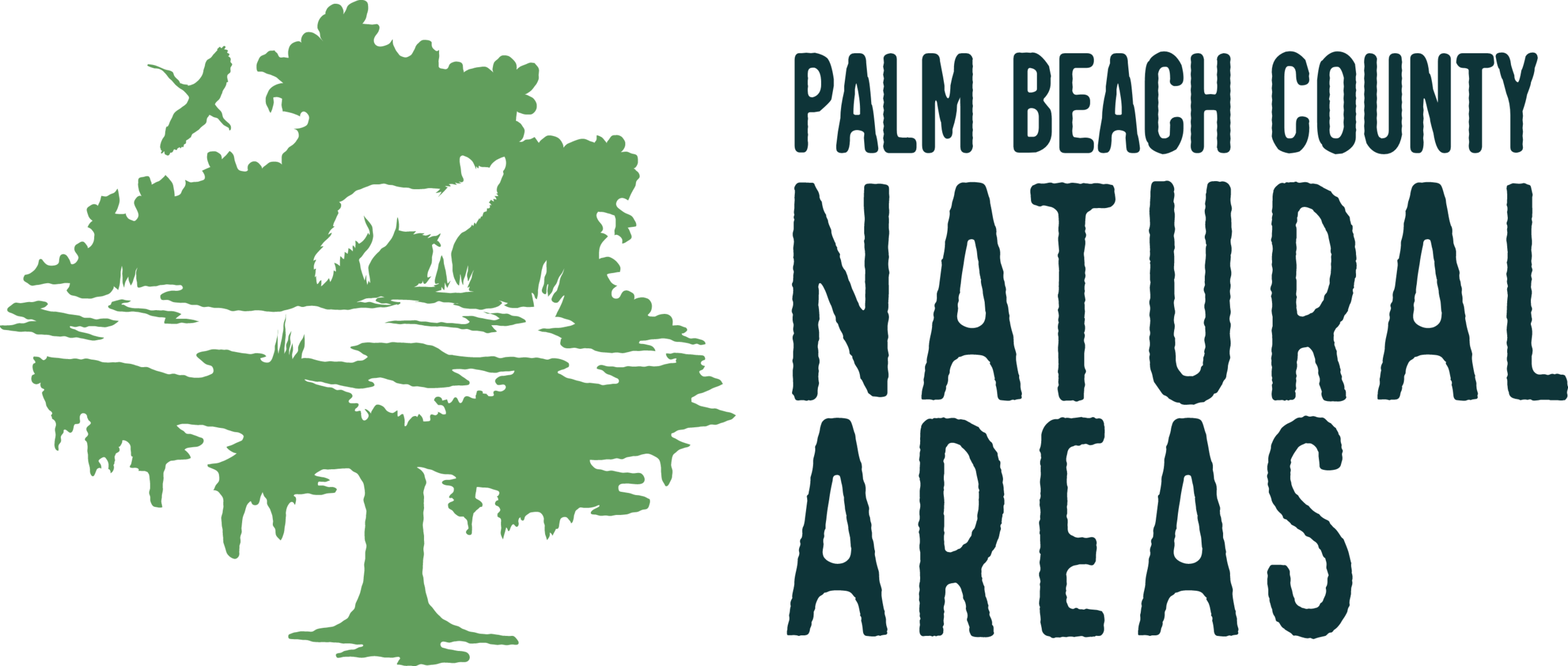 pbc erm image.png
