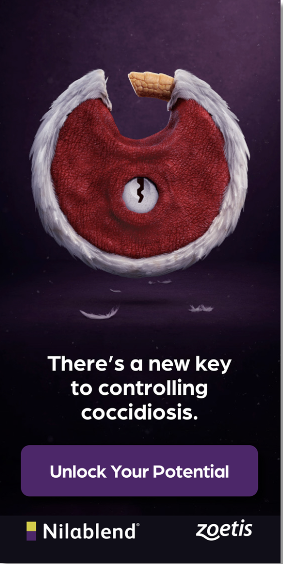 Screenshot 2026-06-08 at 4.50.47 PM.png