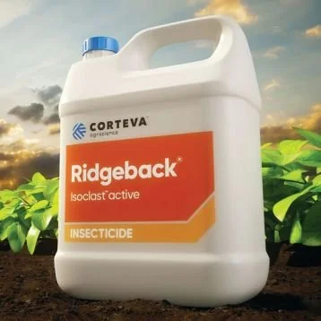 ridgeback.jpg