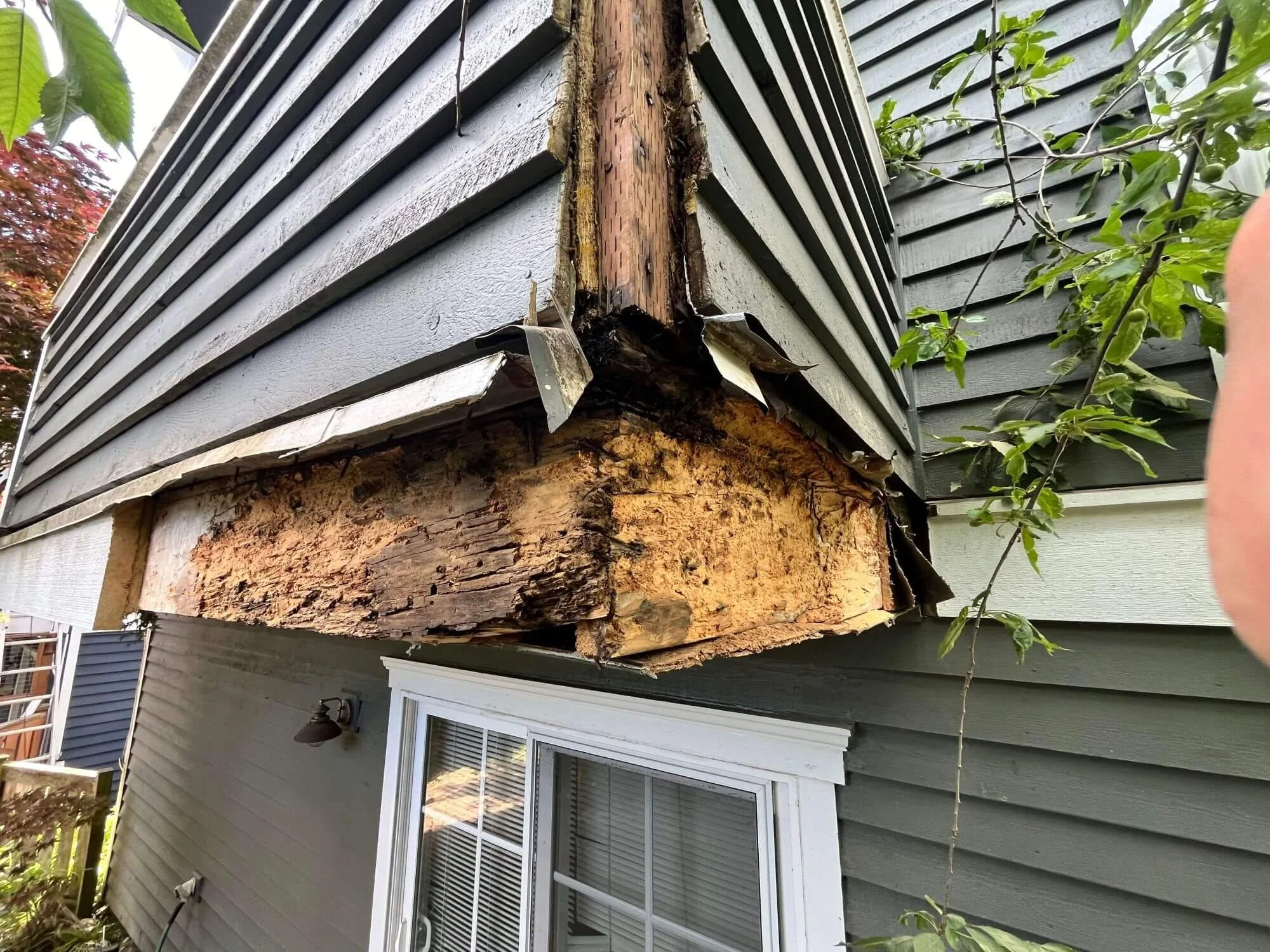 Water damaged and rotten wood frame and siding, repaired by Gold Mountain Contracting, at a home in Beacon Hill, Seattle.