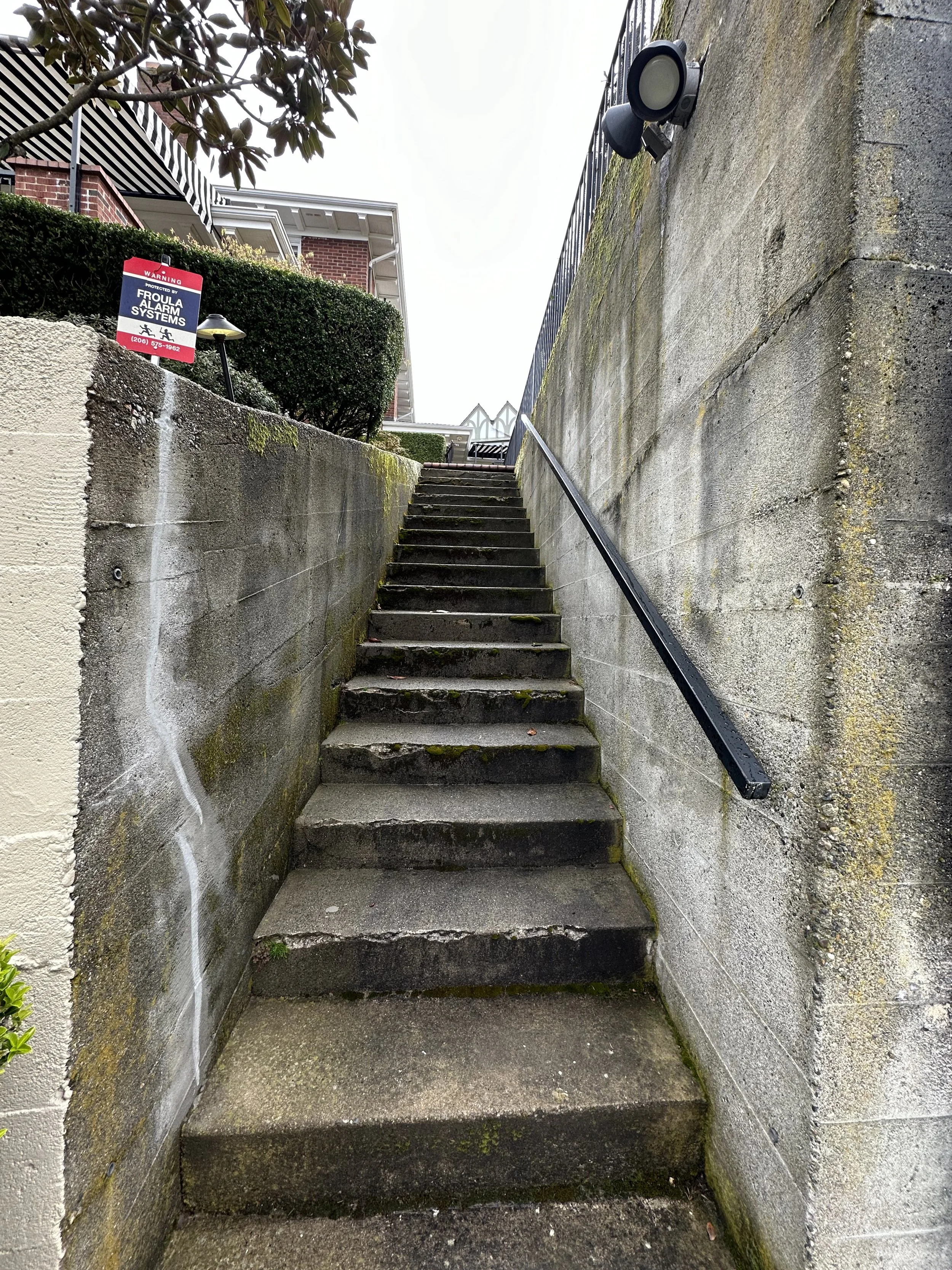 A mossy stairway in Seattle needing pressure washing.