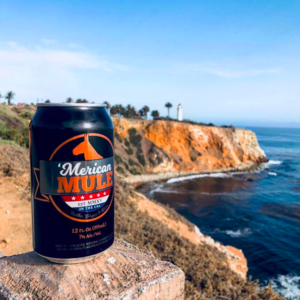   MERICAN MULE  