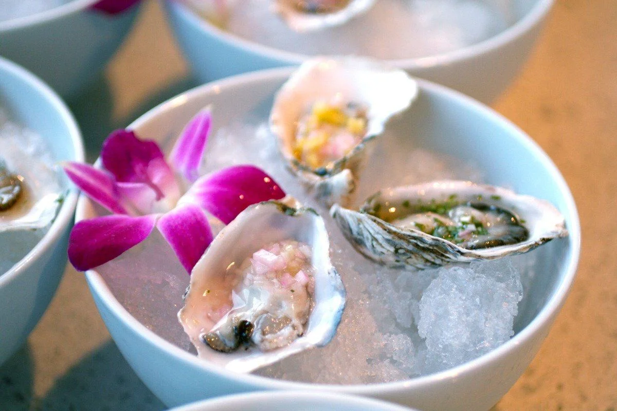  CEVICHE PROJECT 