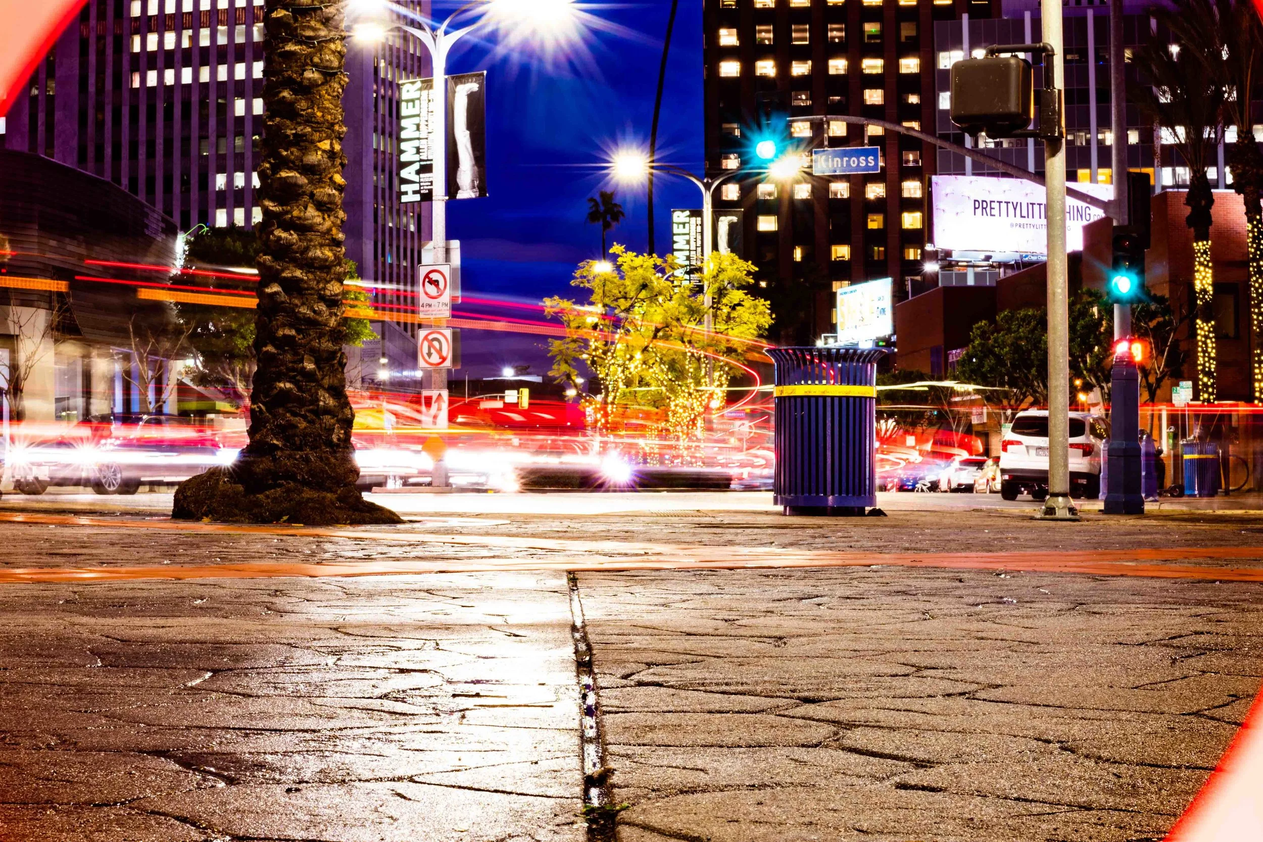 Marrone_William_Photography ll-01172.jpg
