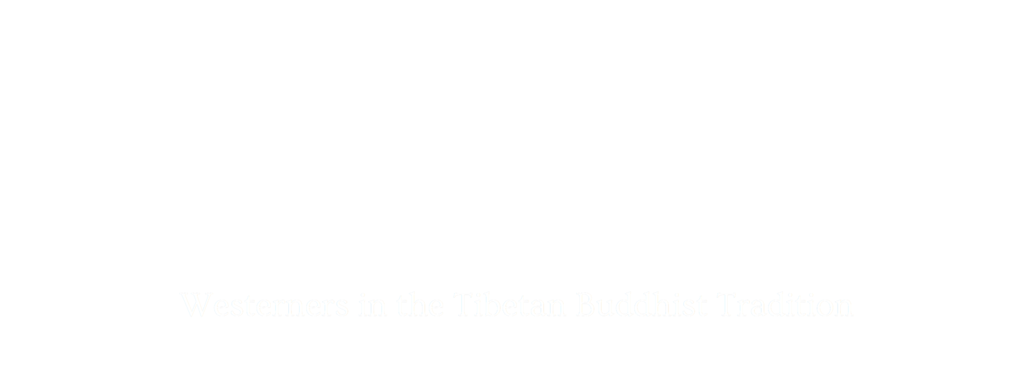 The Buddhist Monastic Initiative