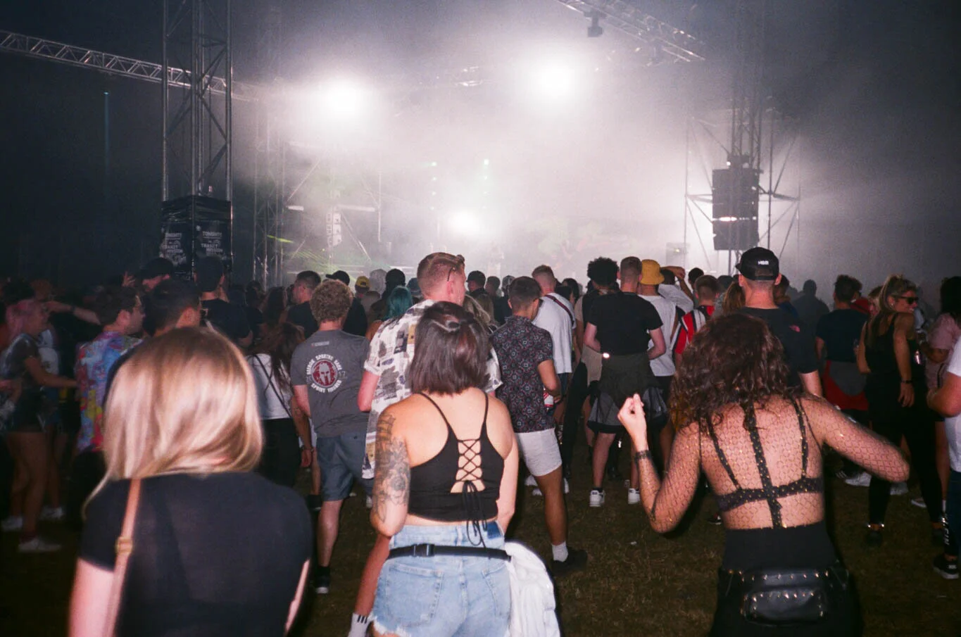 13510031.jpg