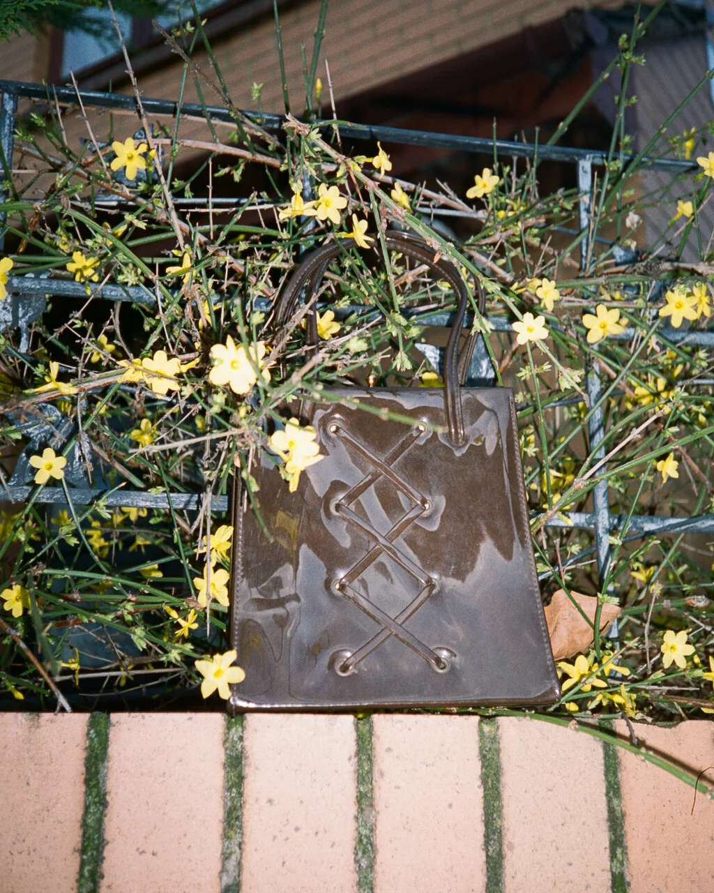 87850028 copy.jpg