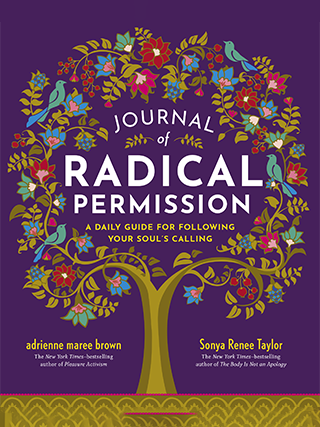 journal-of-radical-permission.png