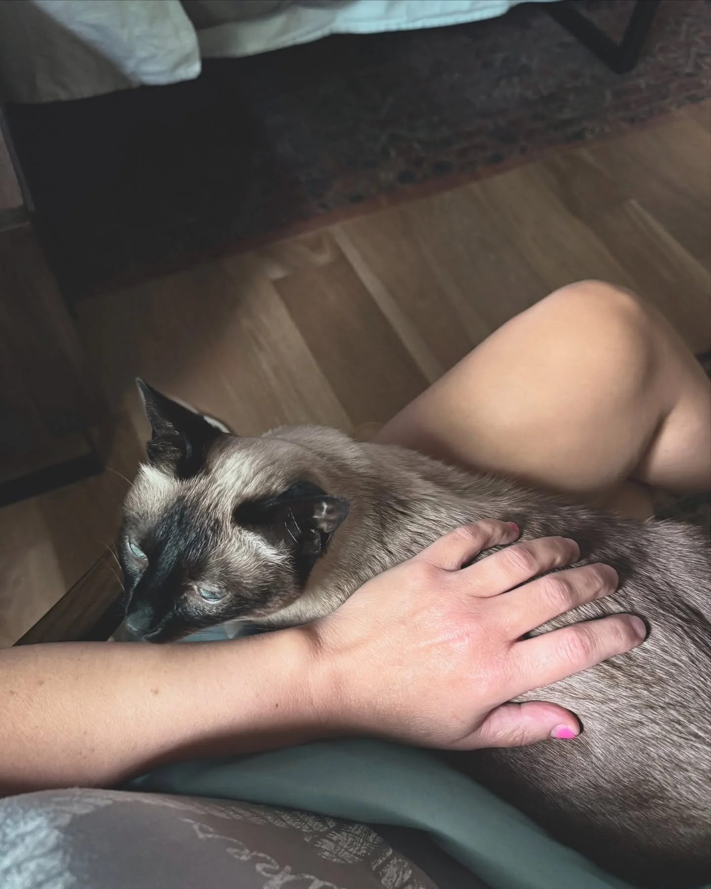 Lately it&rsquo;s play hard, work hard. The crash is anticipated&mdash;your brain reminding you it&rsquo;s just part of the deal. Your body reminding you it&rsquo;s time to self regulate. Slow the frenetic pace. Breathe deeply. Sit alone and listen t