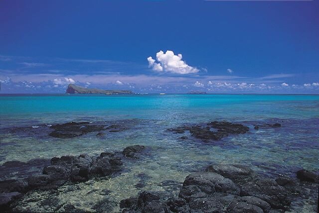 RUM life ❤️💙💛💚
@STARRrum
.
better #TOGETHER
.
#STARRrum #paradise #island #madeinmauritius #rum #allSTARR #RUMlife #mauritiusmonday #ilemaurice #MAURITIUS 🇲🇺
.
.
✨field to bottle, single estate rum made by hand in mauritius✨