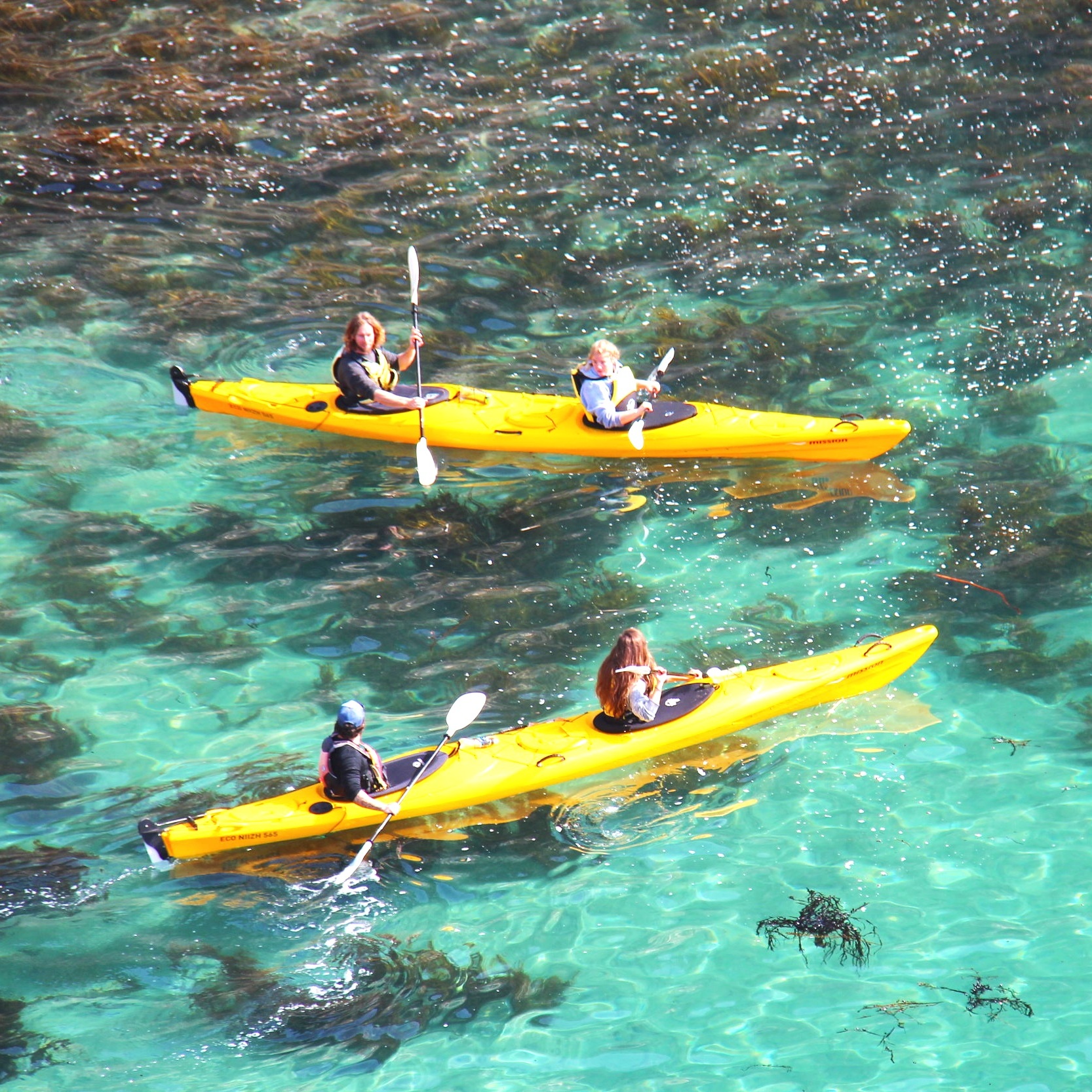 Coromandel Sea Kayaks