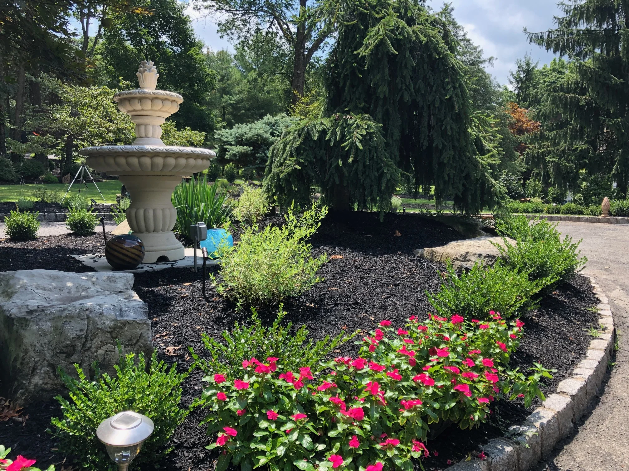 yes landscaping3.jpg