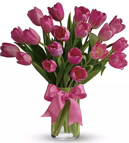 Precious Pink Tulips
