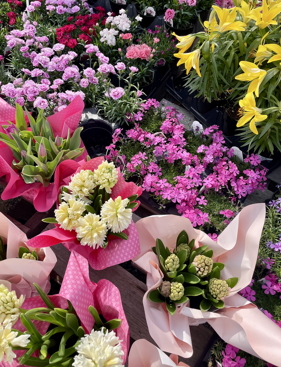 Screenshot 2026-03-31 at 7.14.08 PM.png