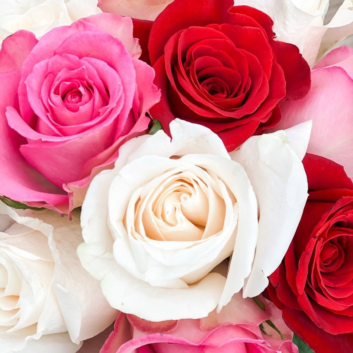 Shop Watchung & Bridgewater Locations — Gray's Florist