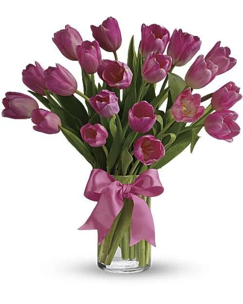 Precious Pink Tulips