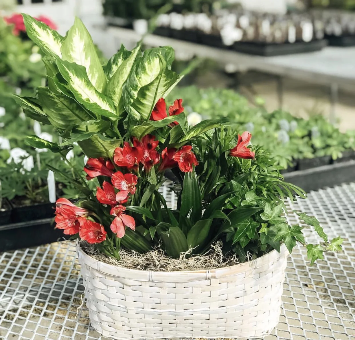 18E0EB41-5B79-4B5E-BBEB-F50CC434210B