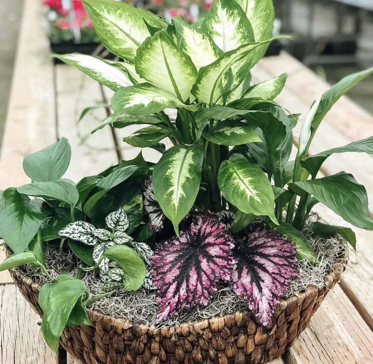 3229D0AE-9226-40C2-BB03-95D65ED5F42F