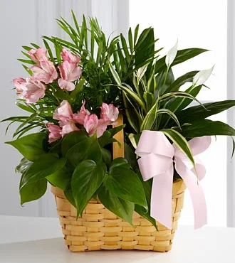 Flowering planter.jpg