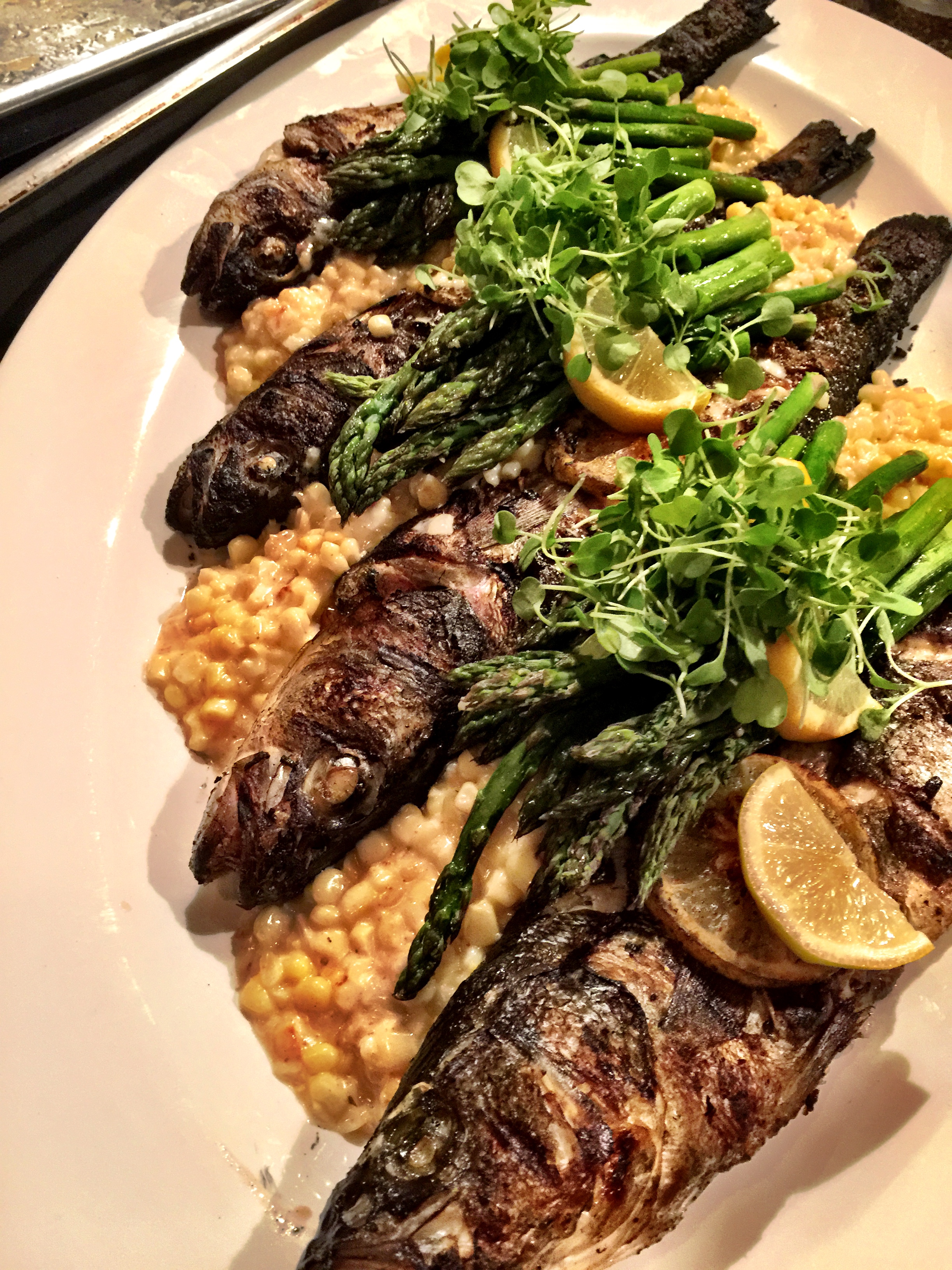 Bronzini Mojarra Brentwood Corn Crema Grass and Micro.jpeg