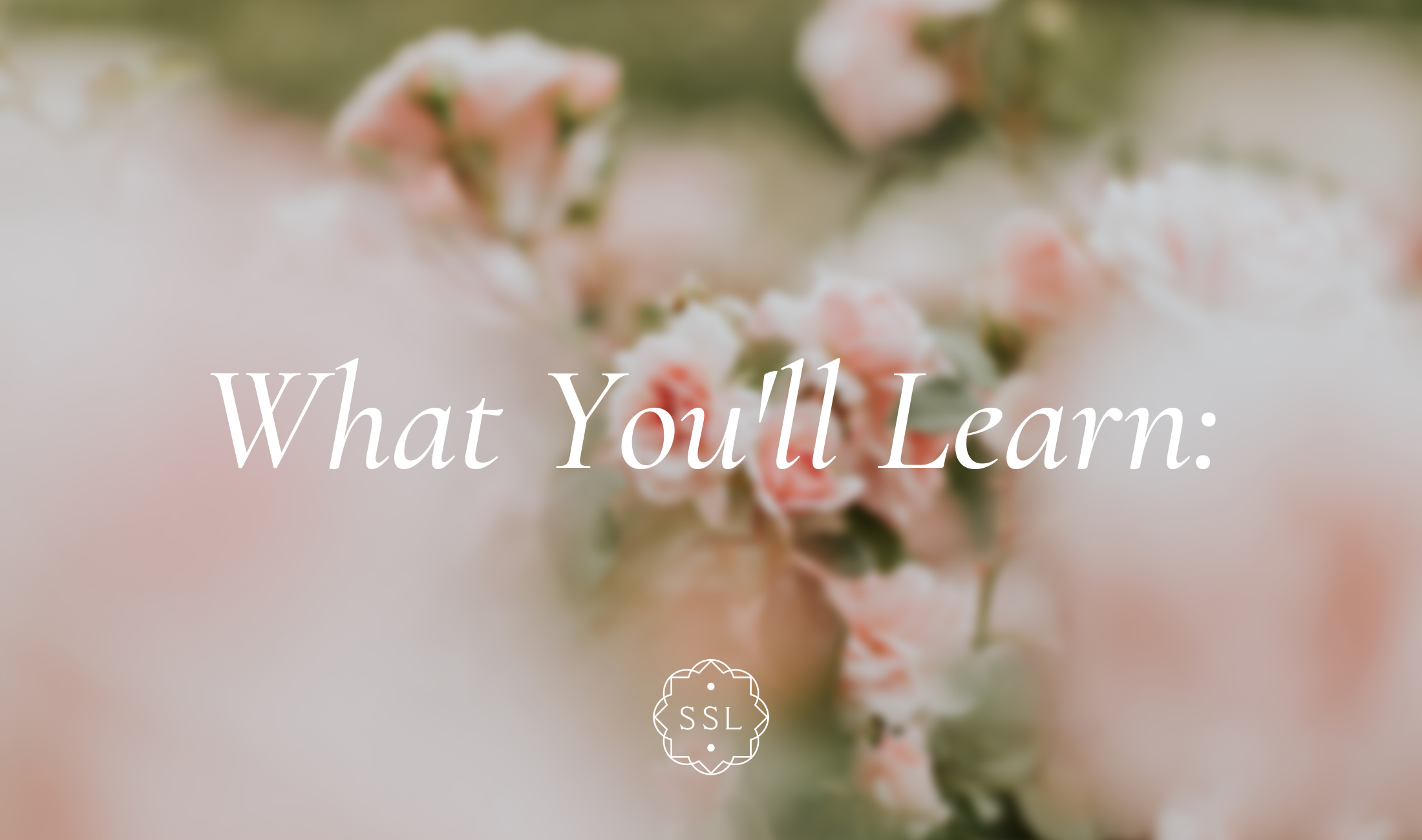 what You'll Learn(1).png