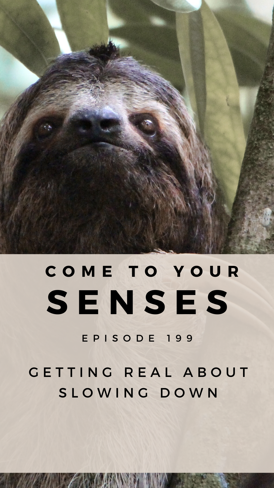 Episode 199 - Getting Real About Slowing Down 