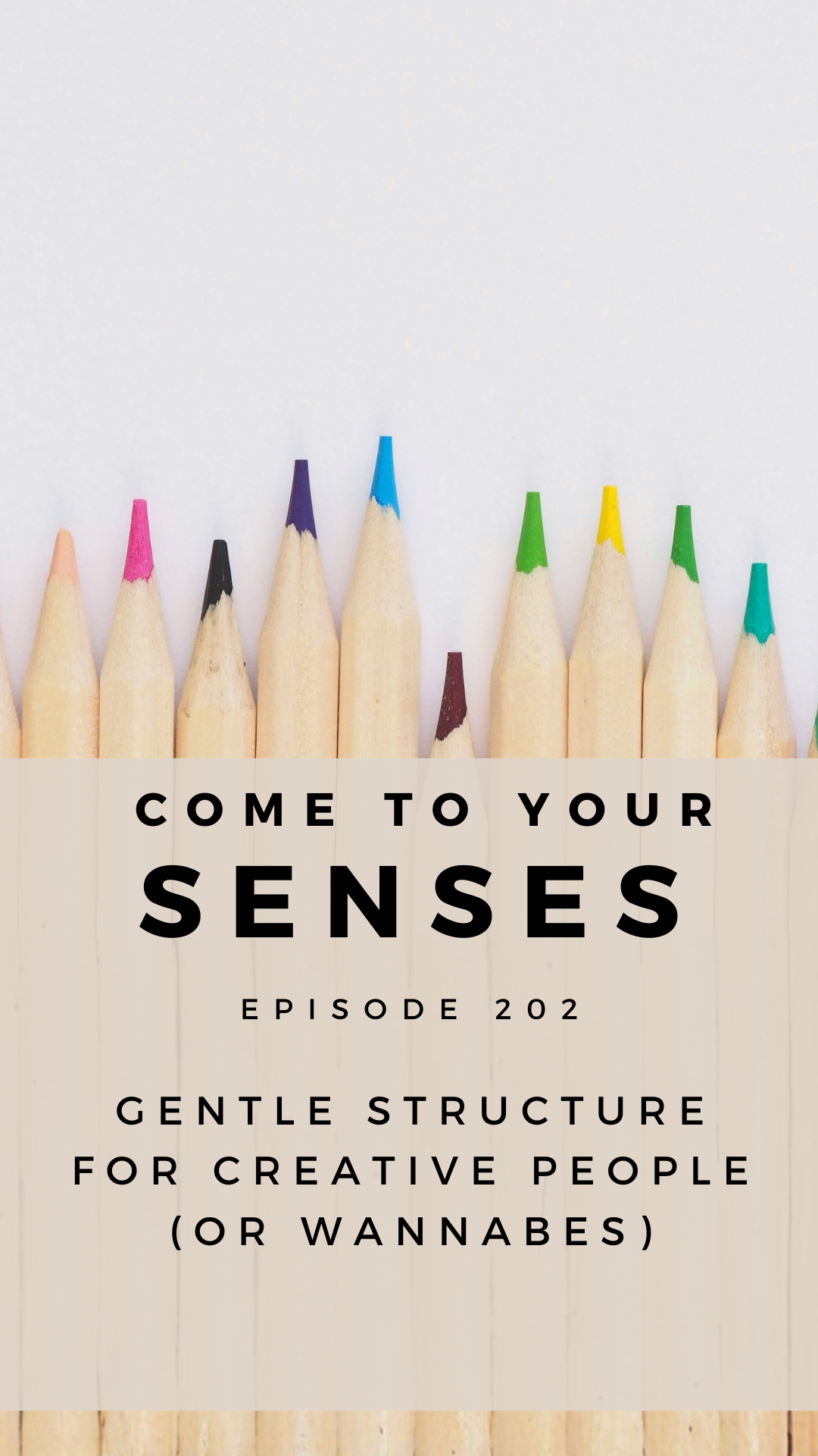 Episode 202 - Gentle Structure for Creative People 