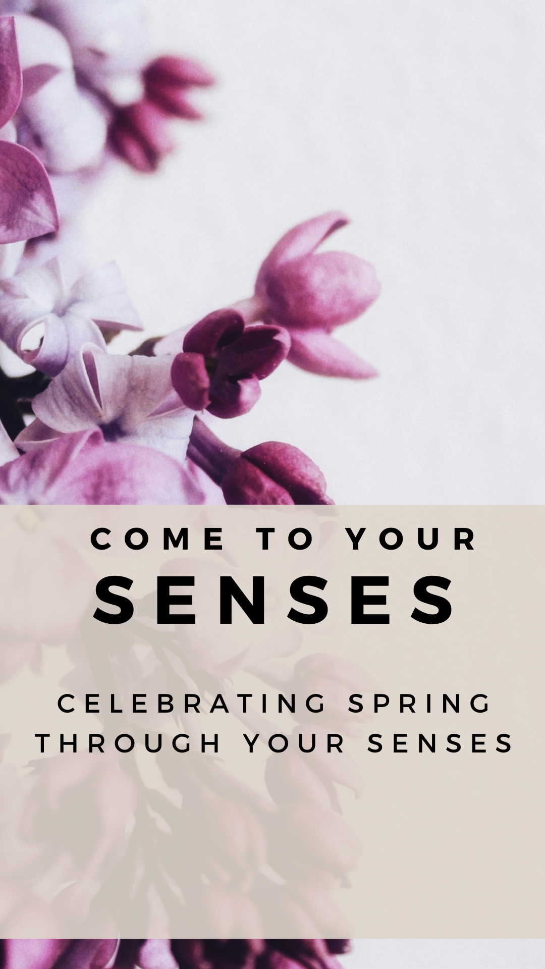 Seasonal Series: Celebrating Spring Through Your Senses