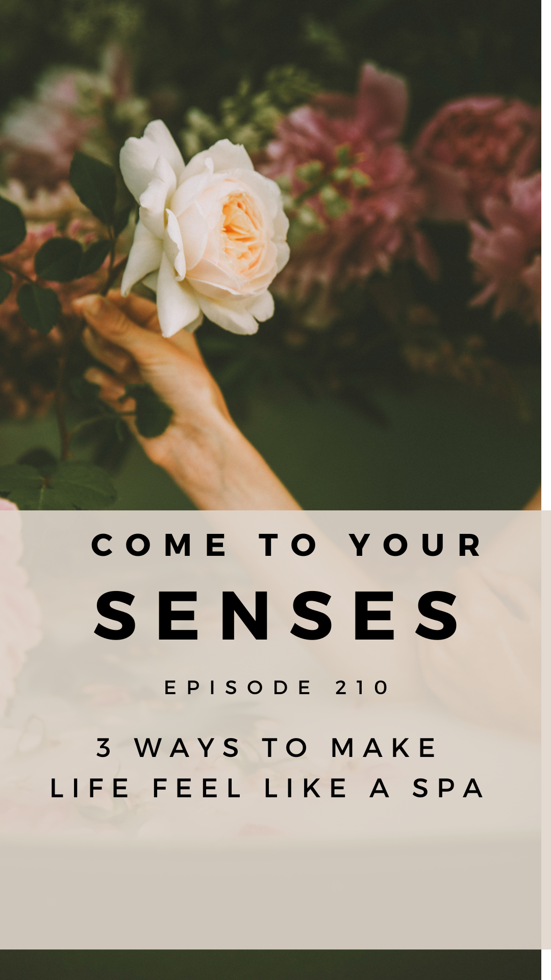 Episode 210 : Three Ways to Make Life Feel Like a Spa