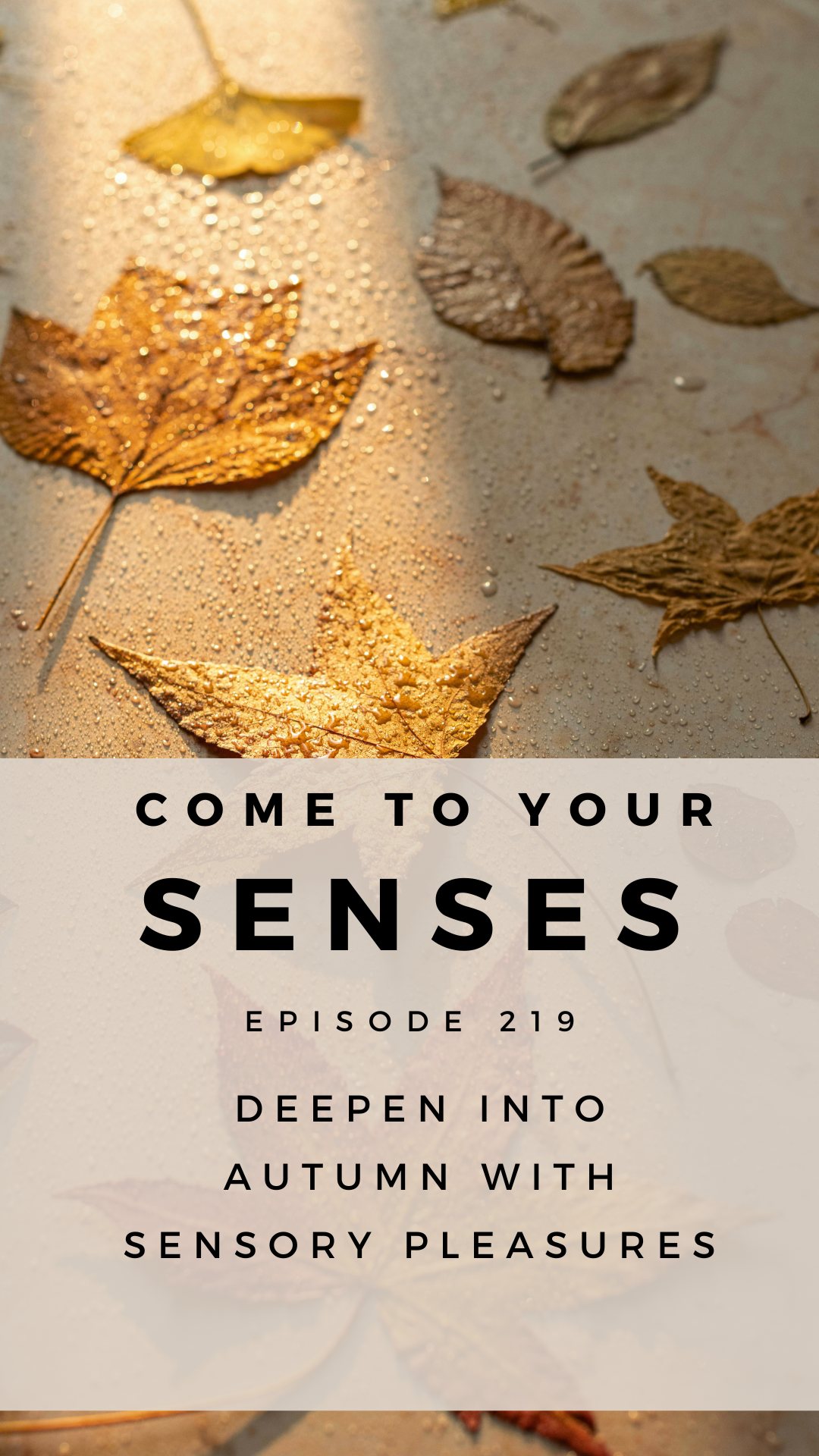 Episode 219 — Deepen Into Autumn Through Sensory Pleasures