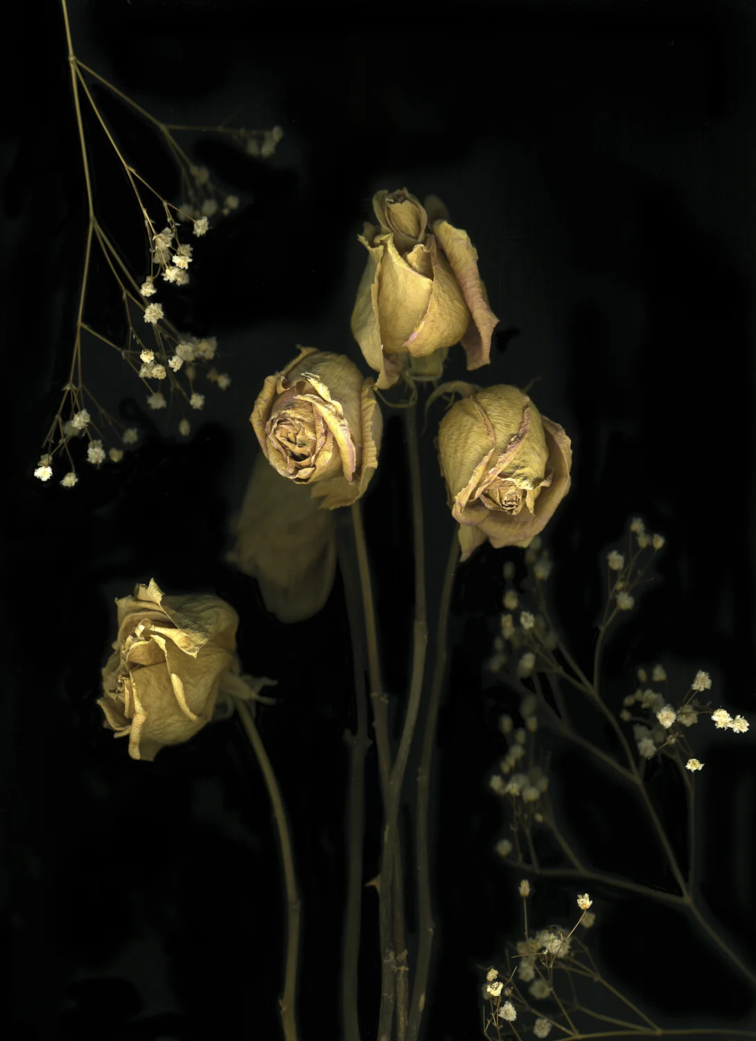 gardens&graveyards-L.L.awson (5 of 14).jpg