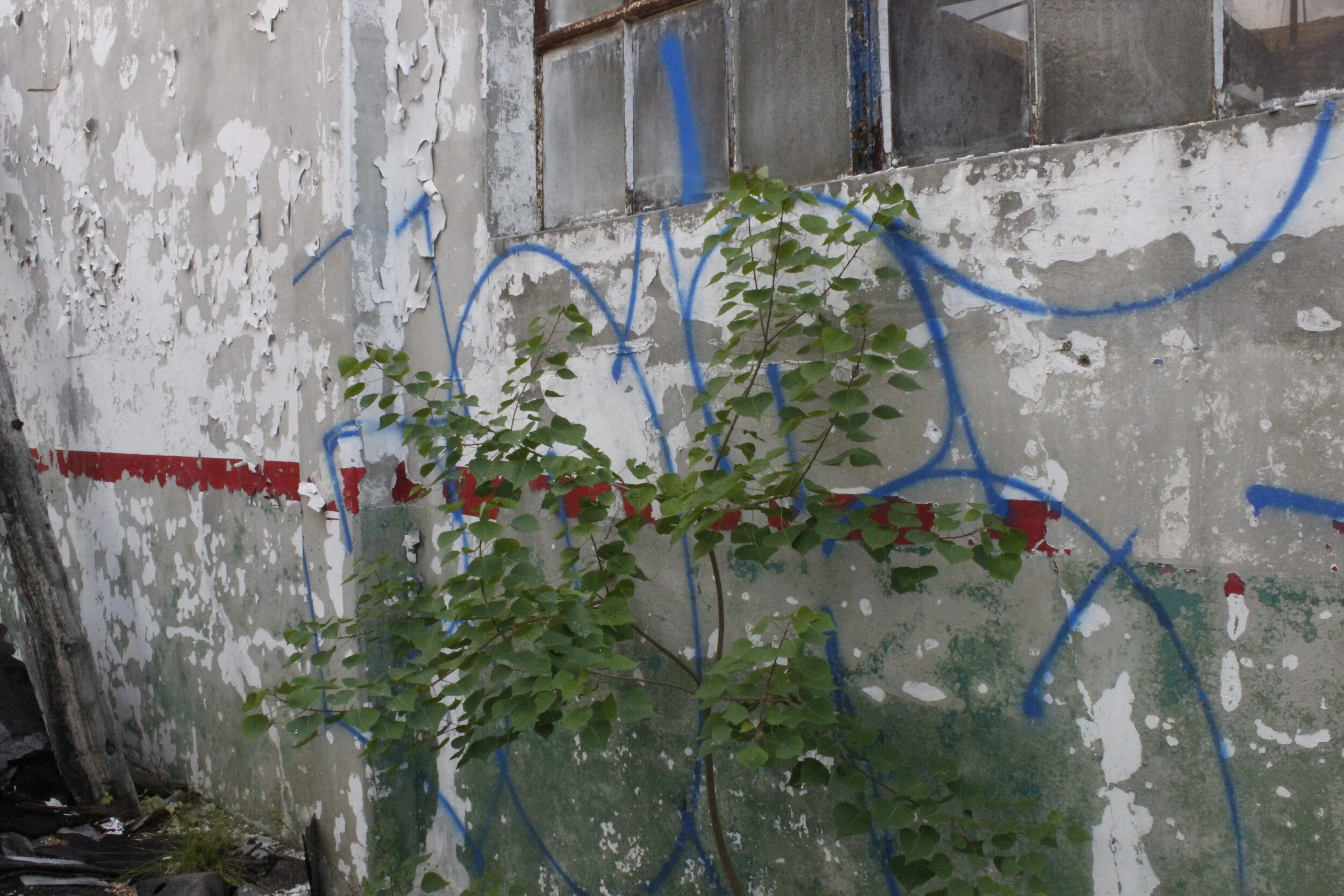 _MG_4663.JPG