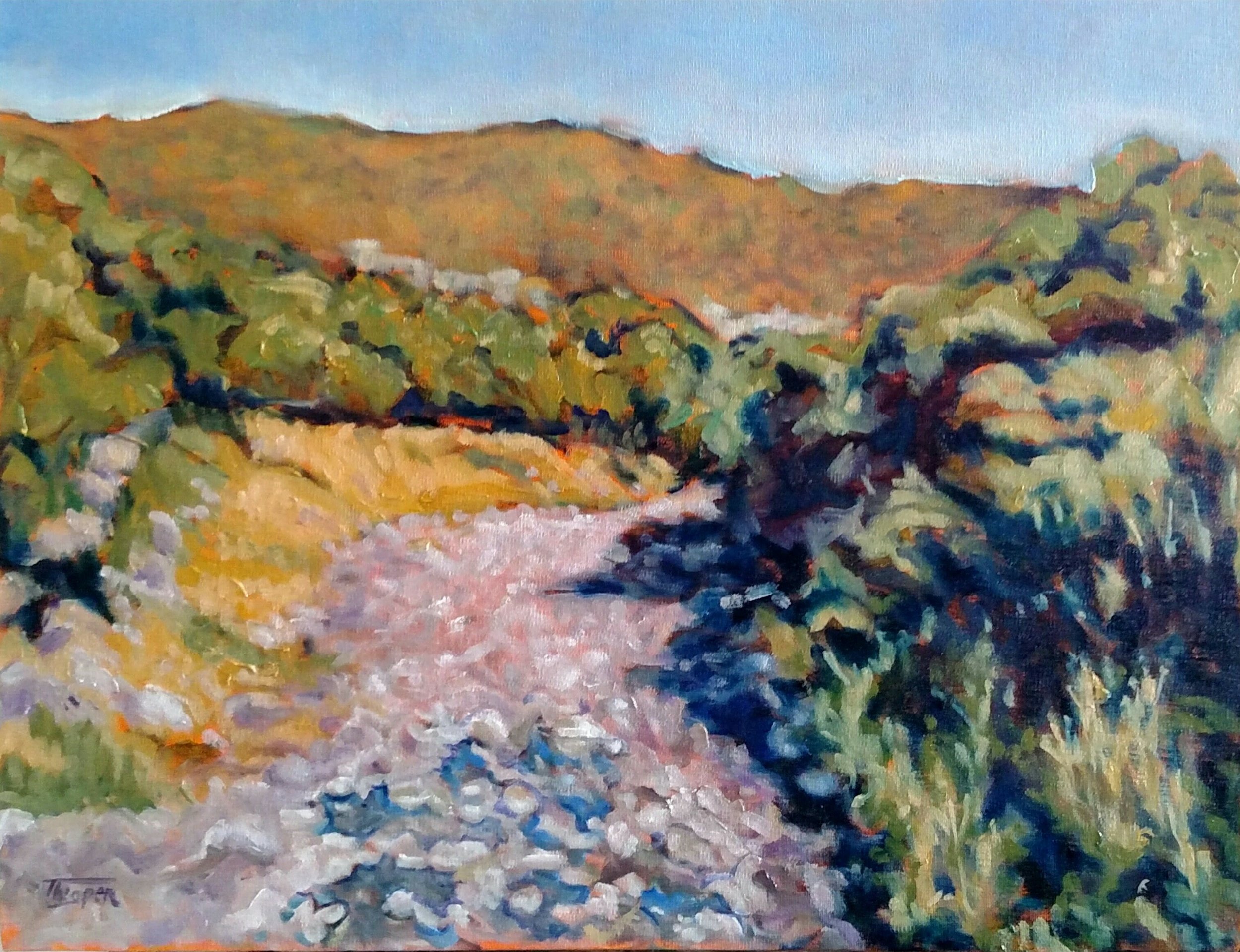 Arroyo Seco de Las Cachinches