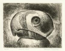   Bernard Reynolds   Parrot Head  Etching 25/50 1994 37.8 x 49.2 cm  Dimensions are of paper not plate 