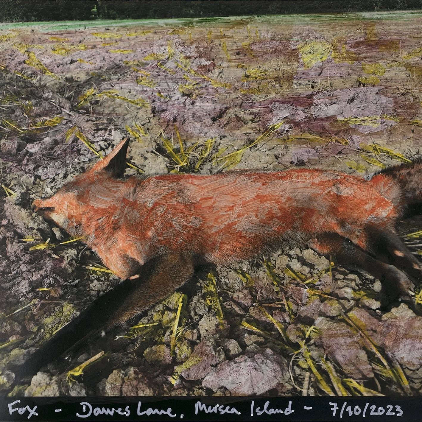 Birds and Beasts... 2023 Daniel & Clara 009.jpeg