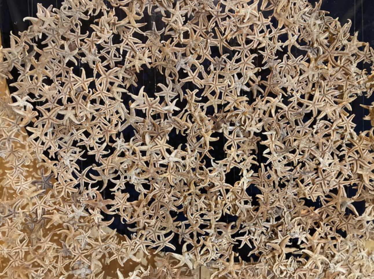 Small Grants Awards - Winners announced